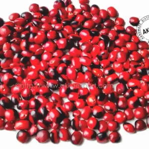 Huayruro seeds bulk from Peru, natural red and black seeds for jewelry making