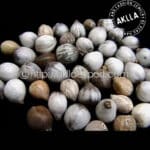 Natural Beads for Jewelry Making: 1 Kilo (2.20 pounds) of Sara Sara Seeds (Coix lacrima jobi)